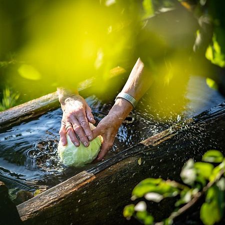 Unterhuberhof Lägenhet Albes Exteriör bild